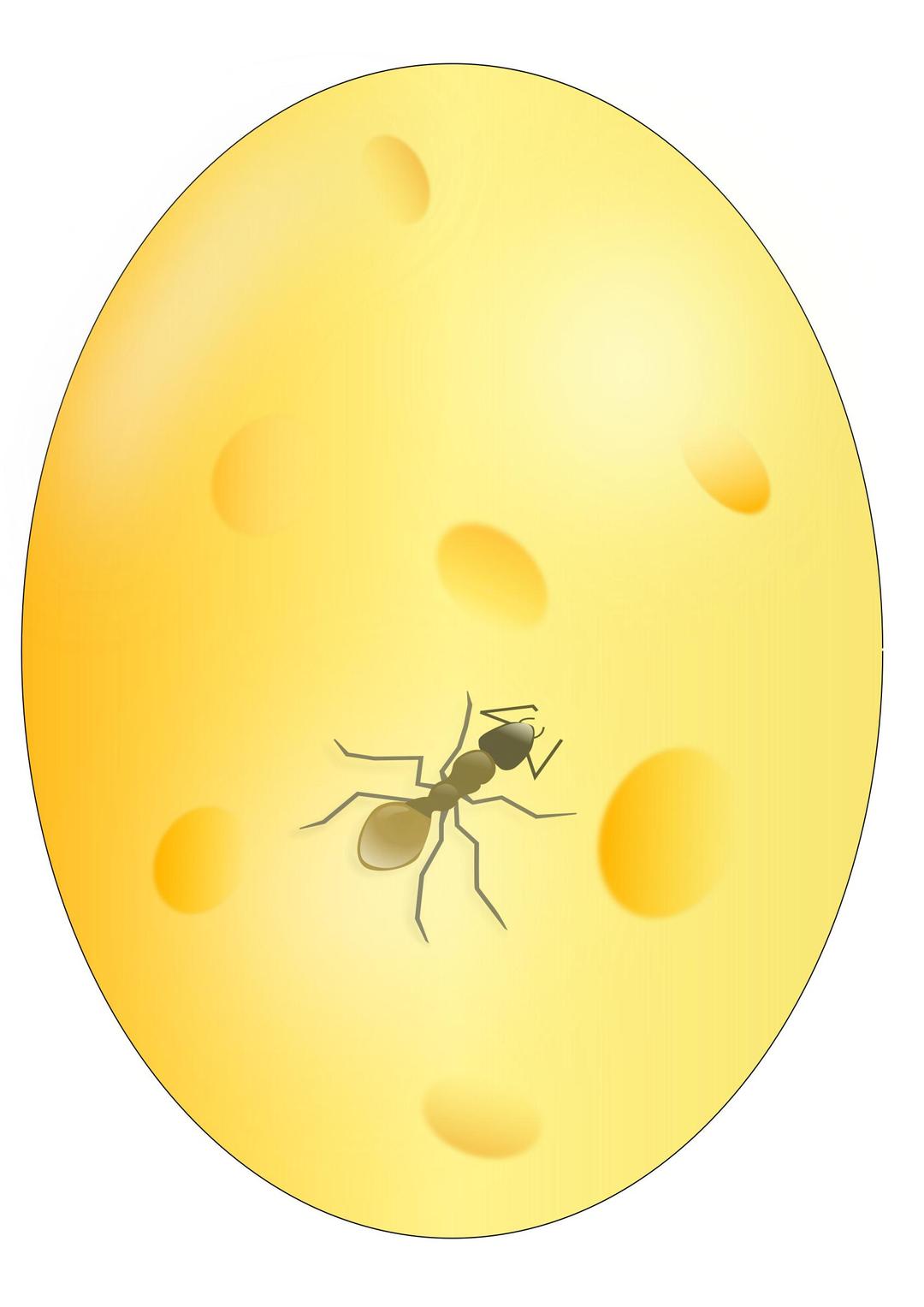 Ant in Amber png transparent