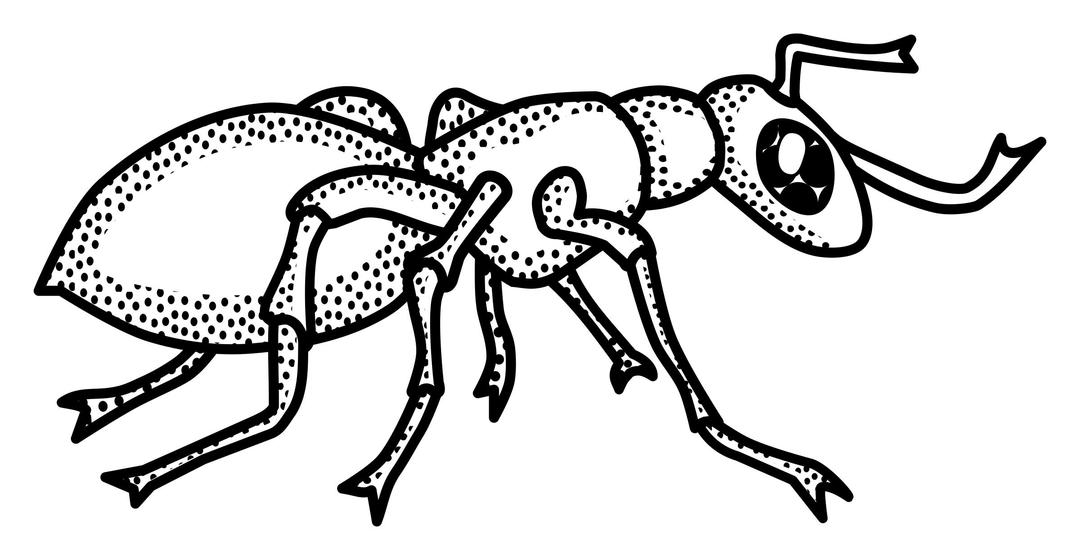ant - lineart png transparent