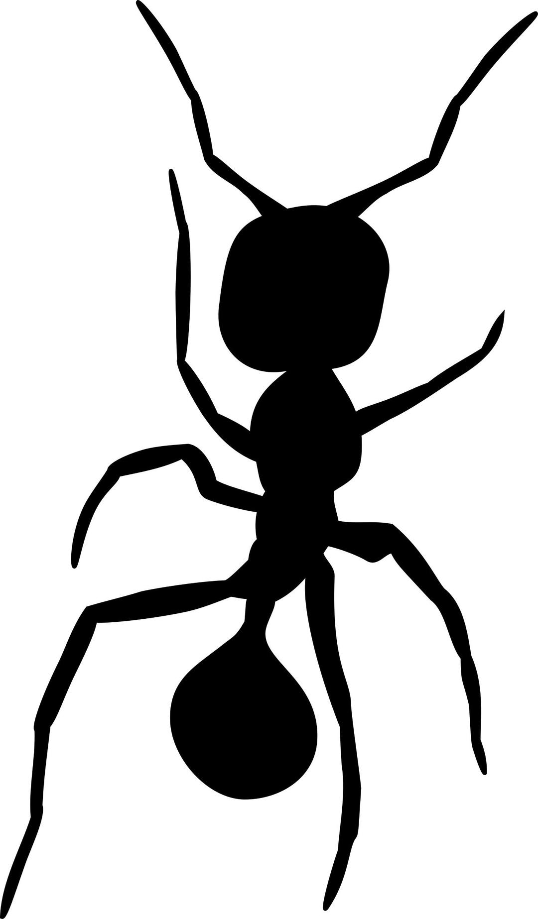 Ant silhouette 2 png transparent