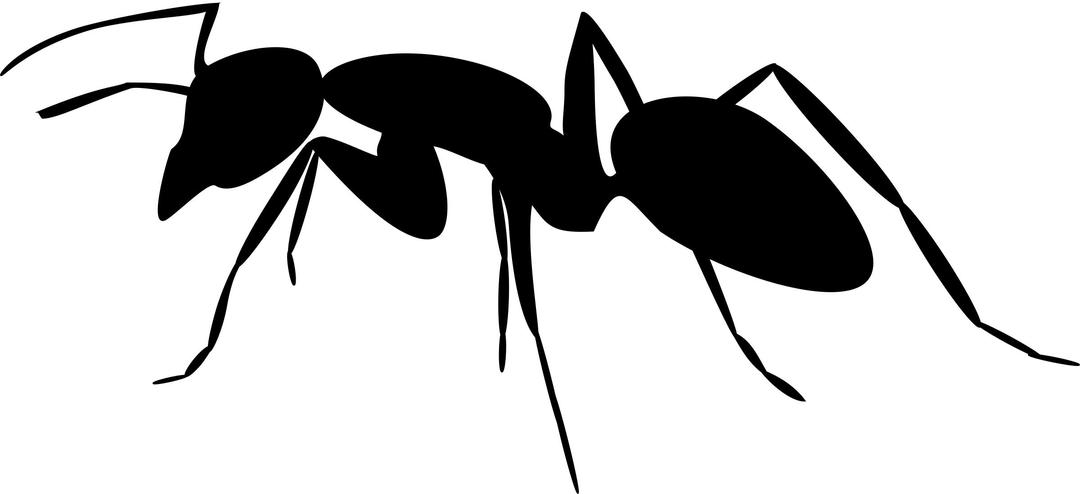 Ant silhouette 3 png transparent