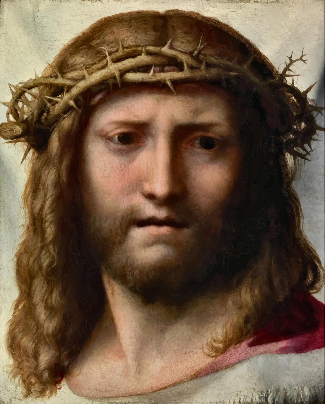 Antonio Allegri's Head Of Christ png transparent