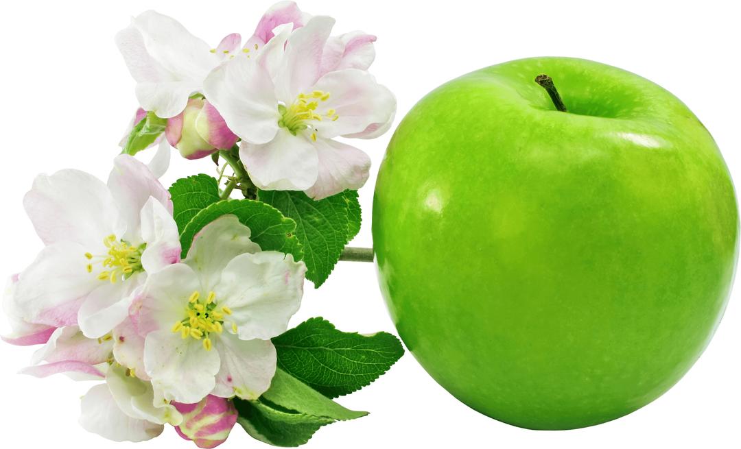 Apple Green Flowers png transparent