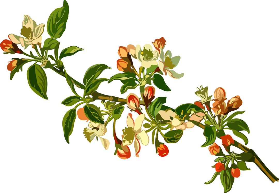 Apple tree (low resolution) png transparent