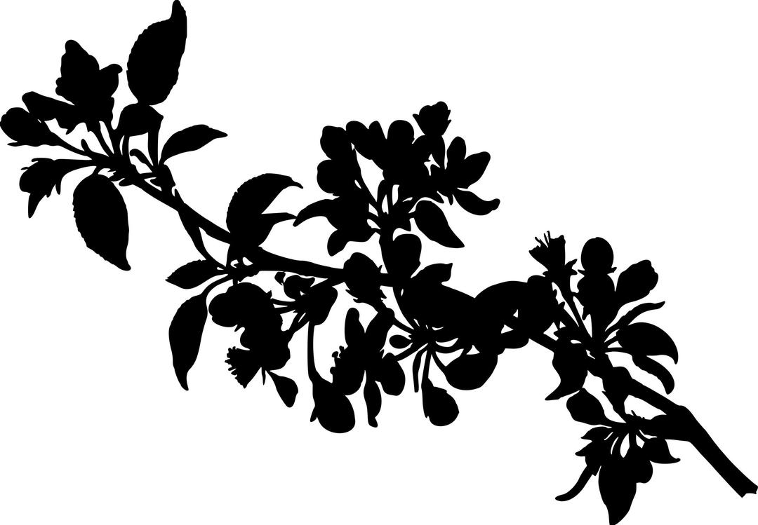 Apple tree (silhouette) png transparent