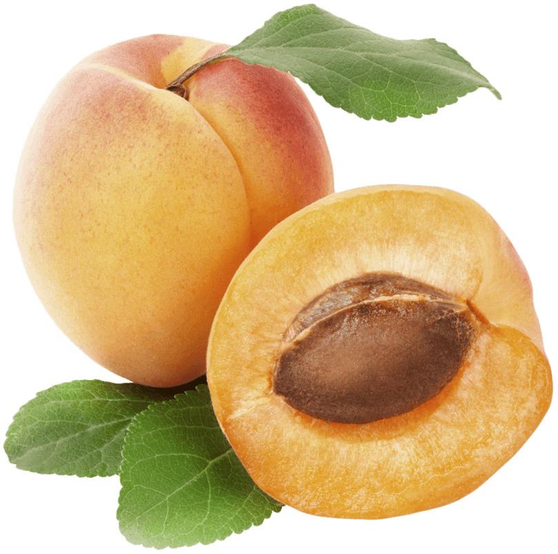 Apricot Duo Open png transparent