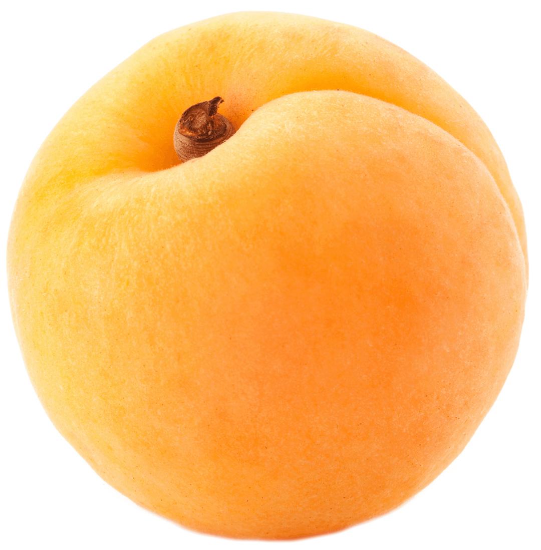 Apricot Large Single png transparent