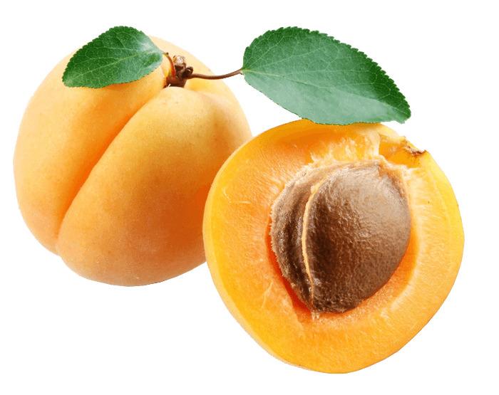 Apricot Leaves Open png transparent