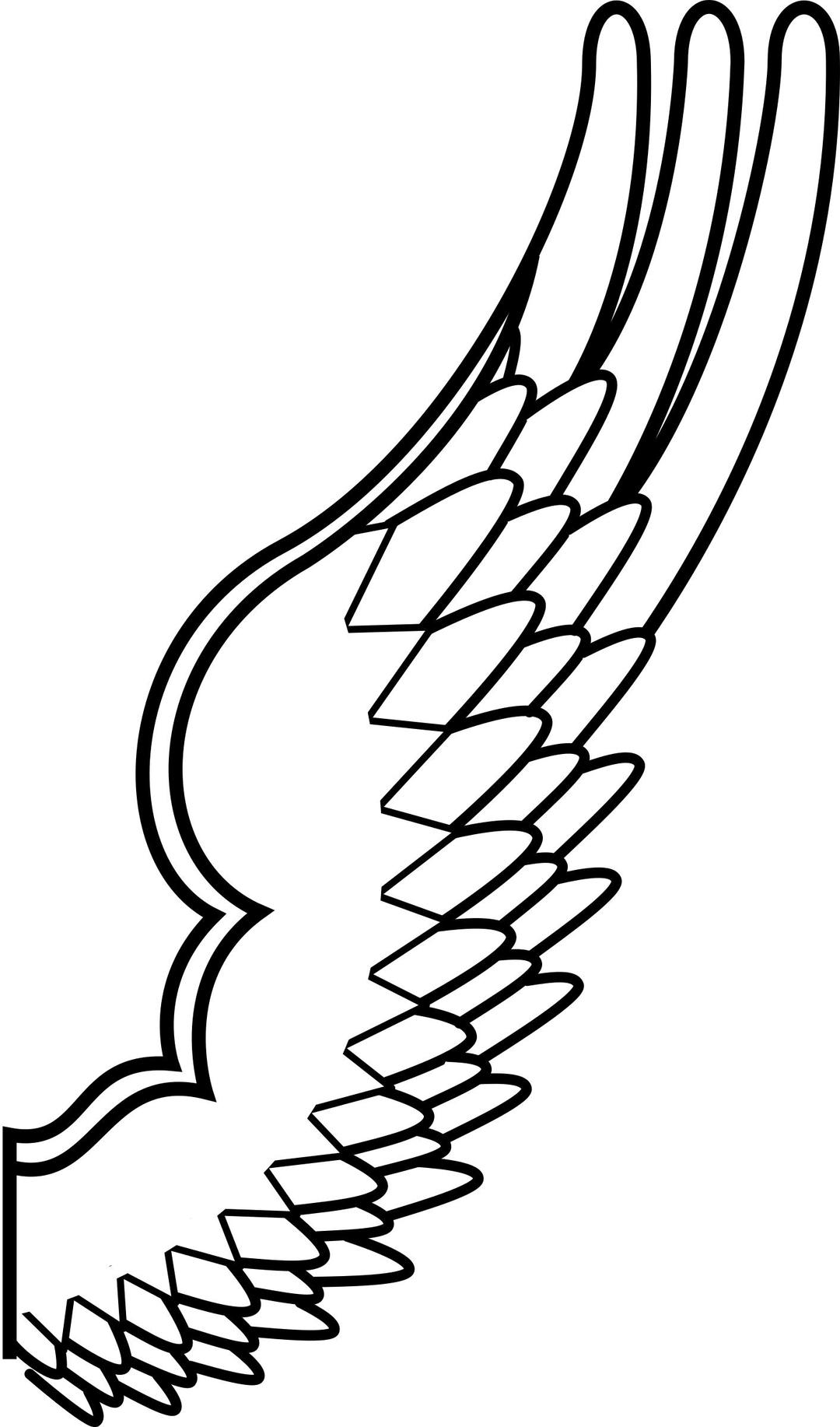 Archaic drawing of a bird wing png transparent