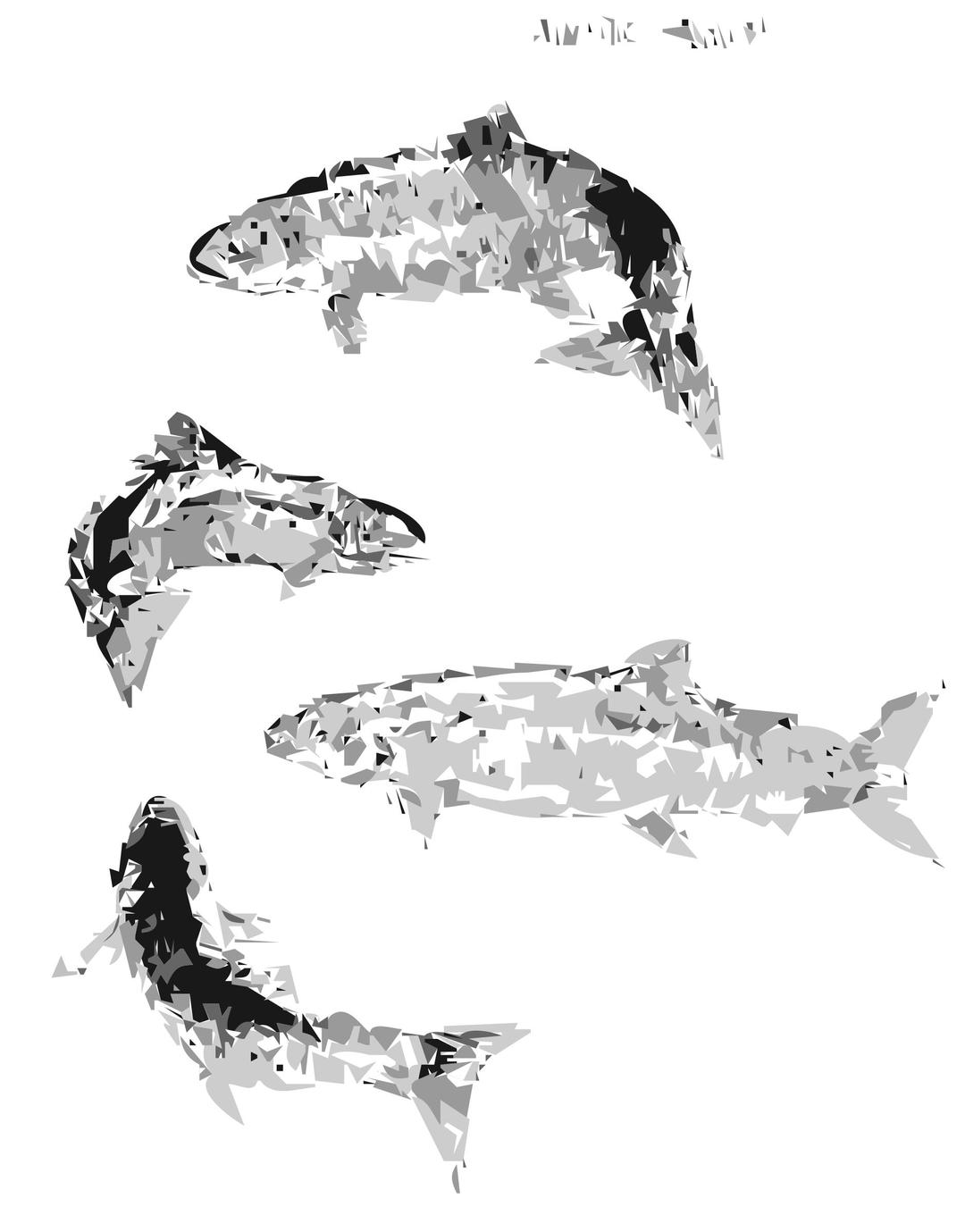 Atlantic Salmon (autotrace) png transparent