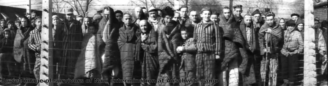 Auschwitz png transparent