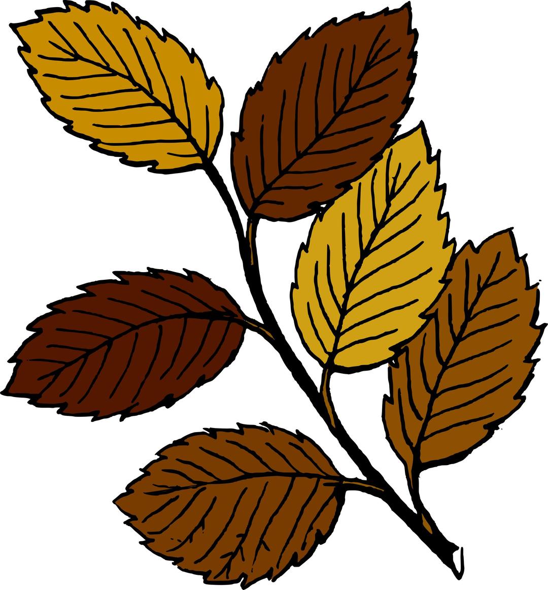 Autumn leaves on branch png transparent