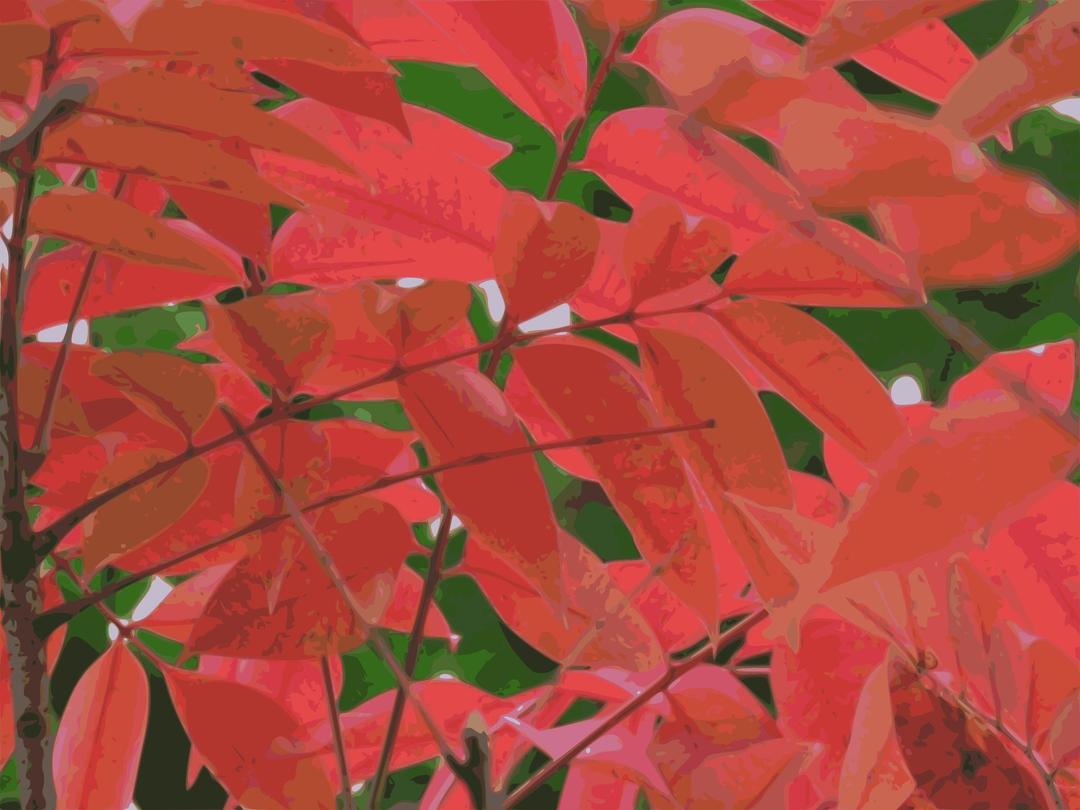 Autumn leaves-Urushi png transparent