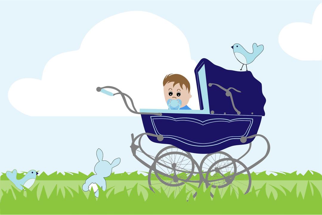 Baby Boy Stroller In The Field png transparent