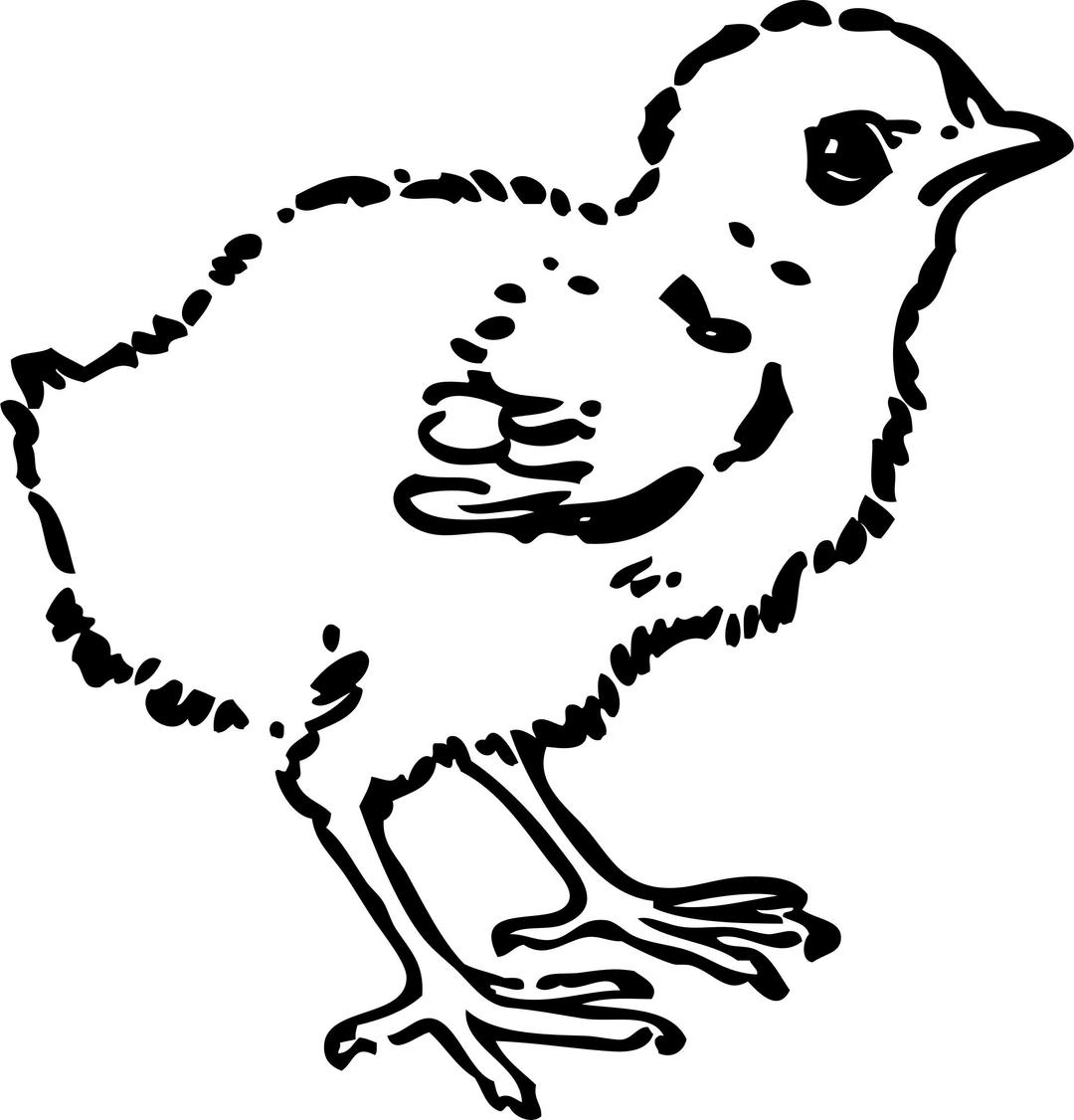 baby chick png transparent
