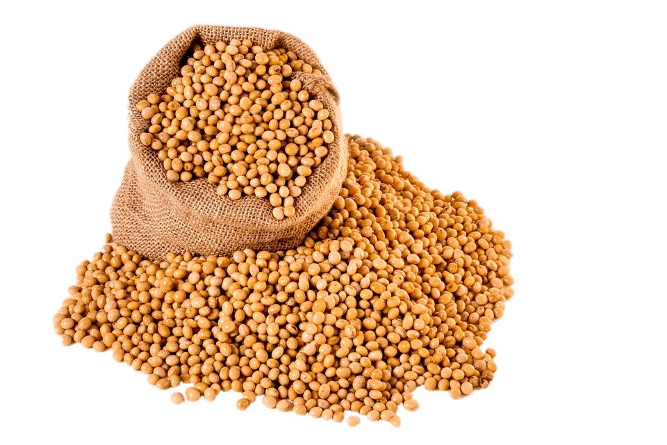 Bag Of Soybeans png transparent