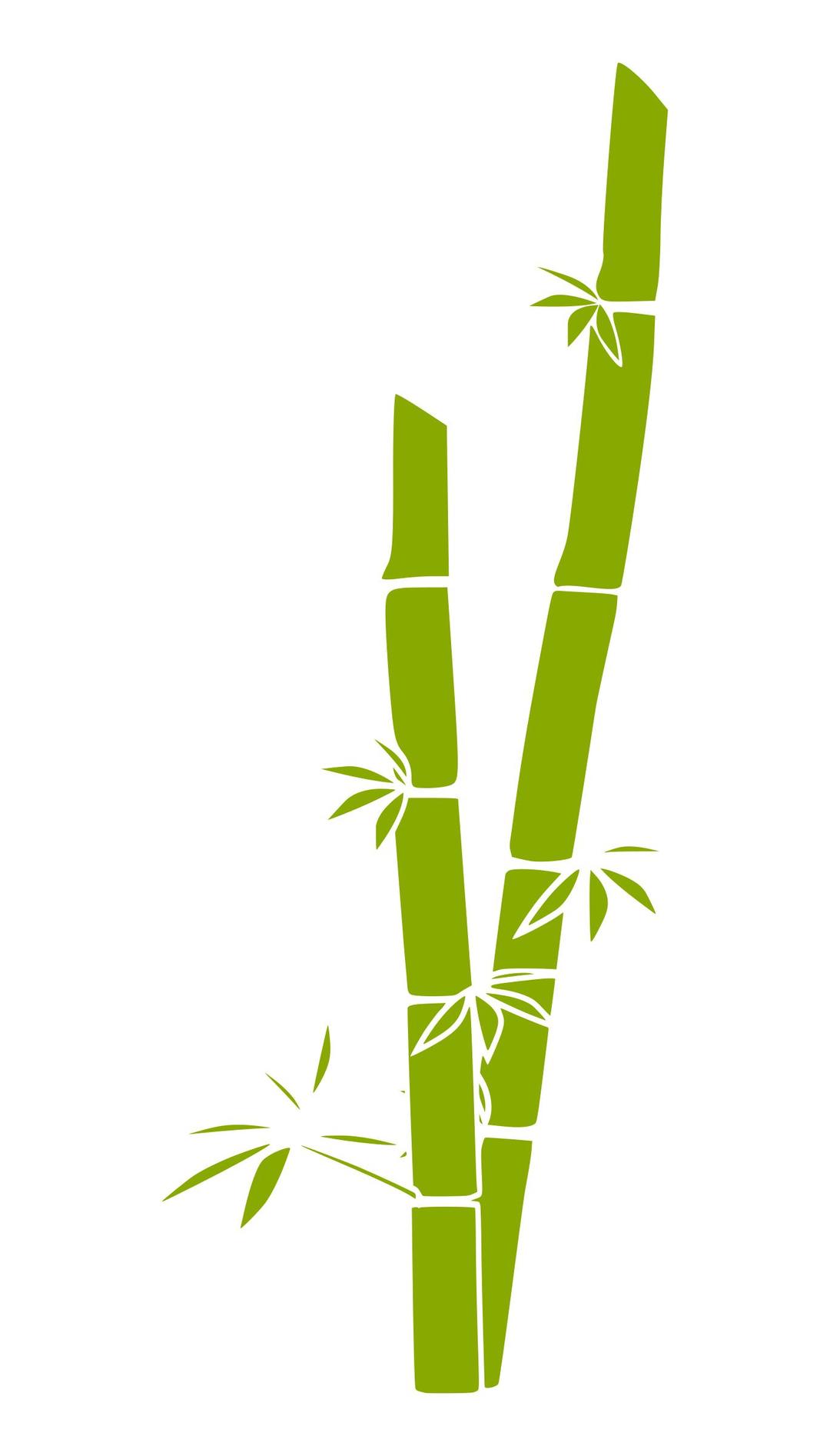 Bamboo png transparent