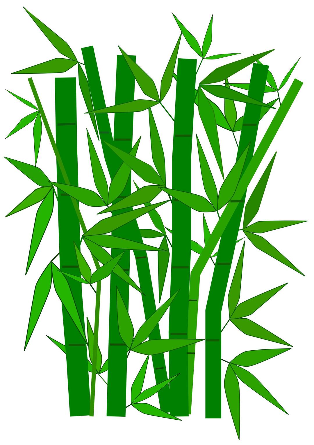 Bamboo graphic png transparent