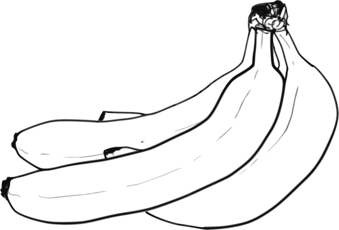Banana Bunch Line Art png transparent