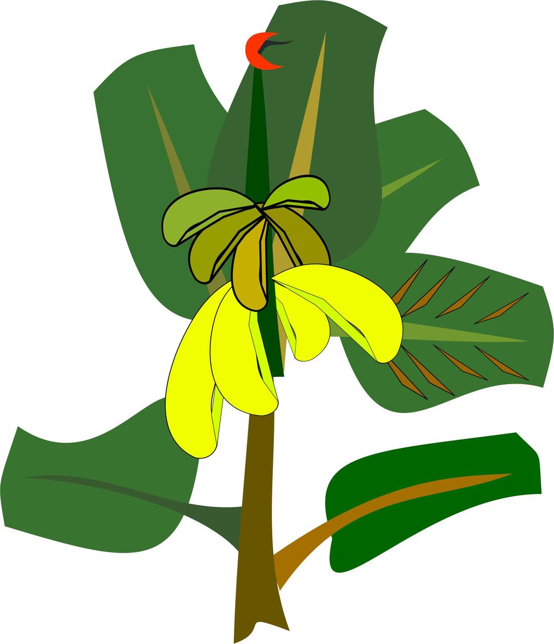 bananas on the tree png transparent