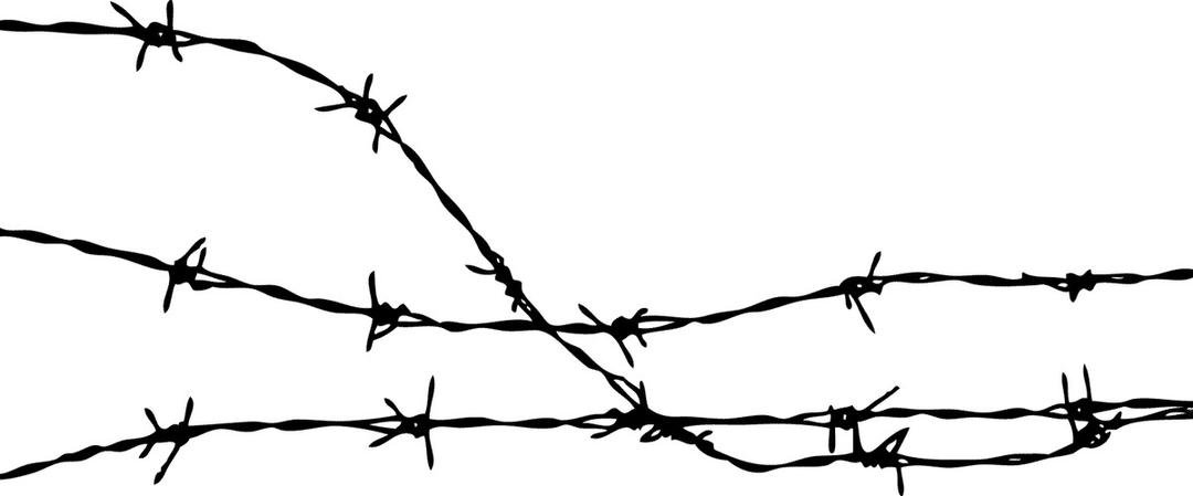 Barbed Wire Clipart png transparent