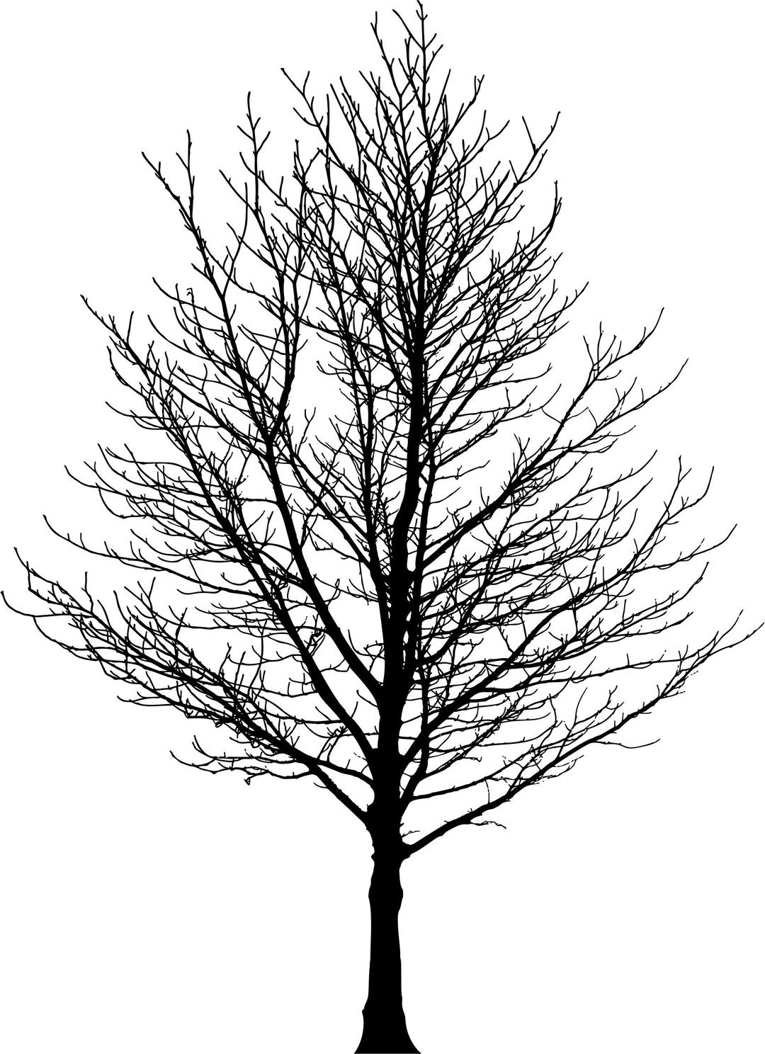 Barren Tree Silhouette 3 png transparent