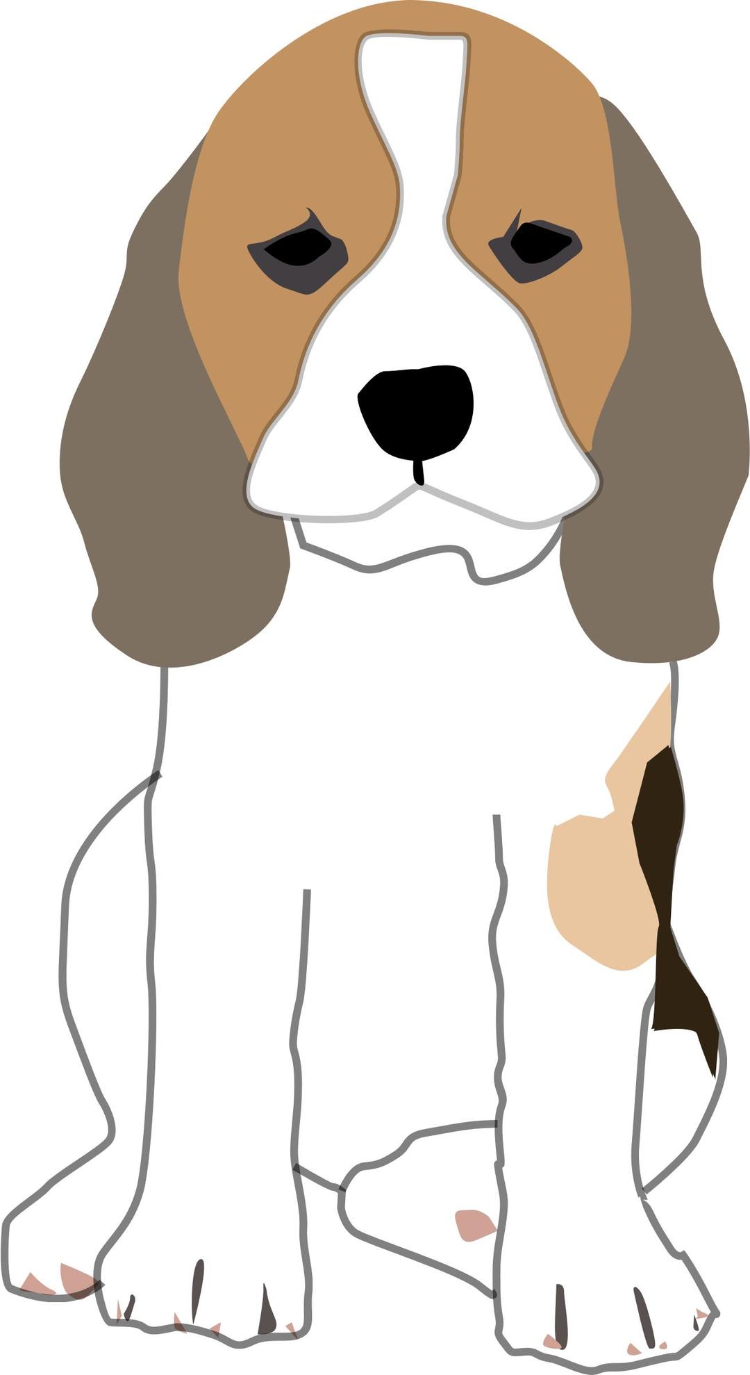 Beagle Puppy png transparent