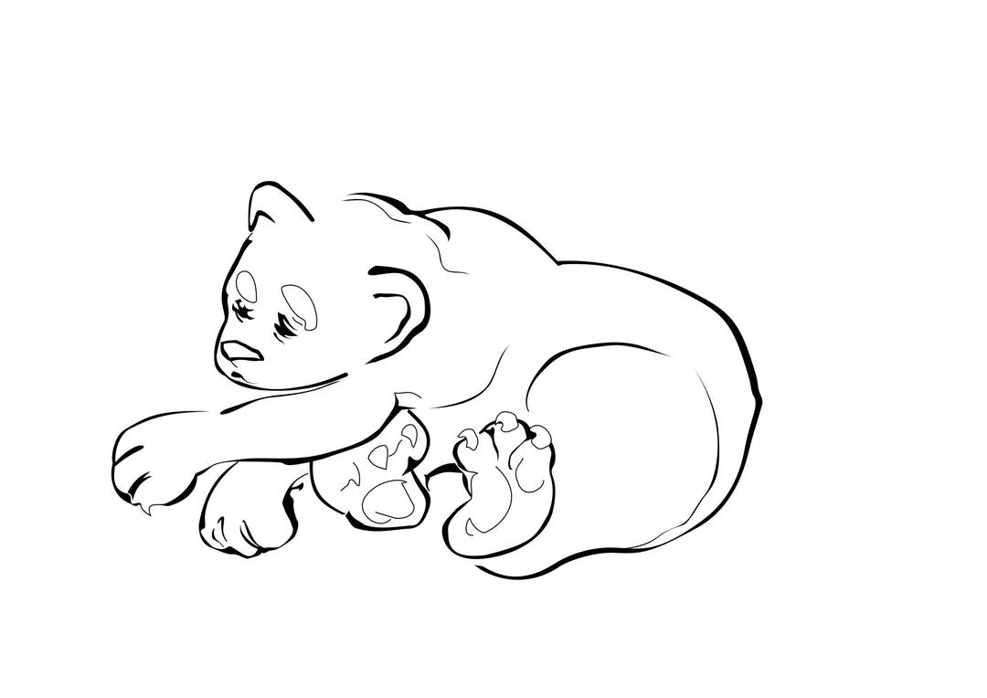 bear (sketch) png transparent