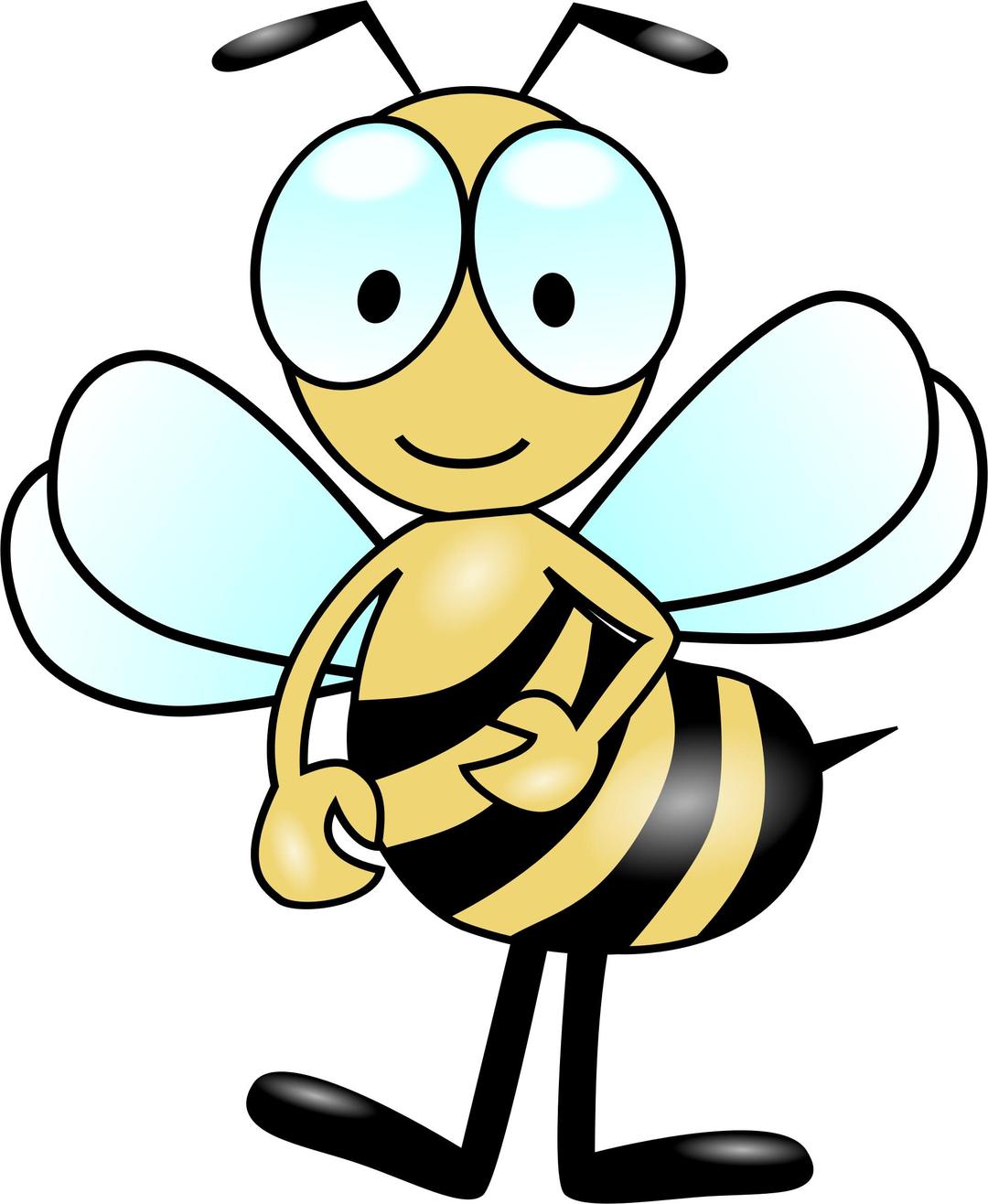 Bee - Bumblebee - Biene - Hummel png transparent