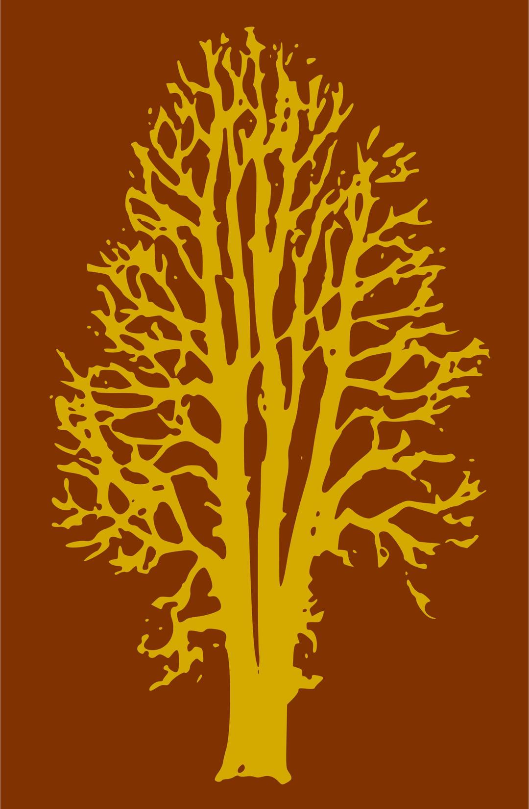 Beech Tree - 2 Colours png transparent