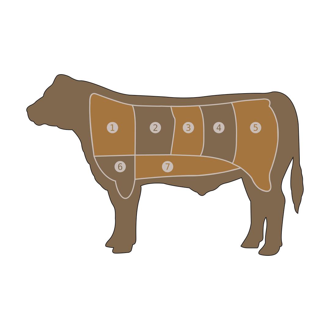 Beef Chart png transparent