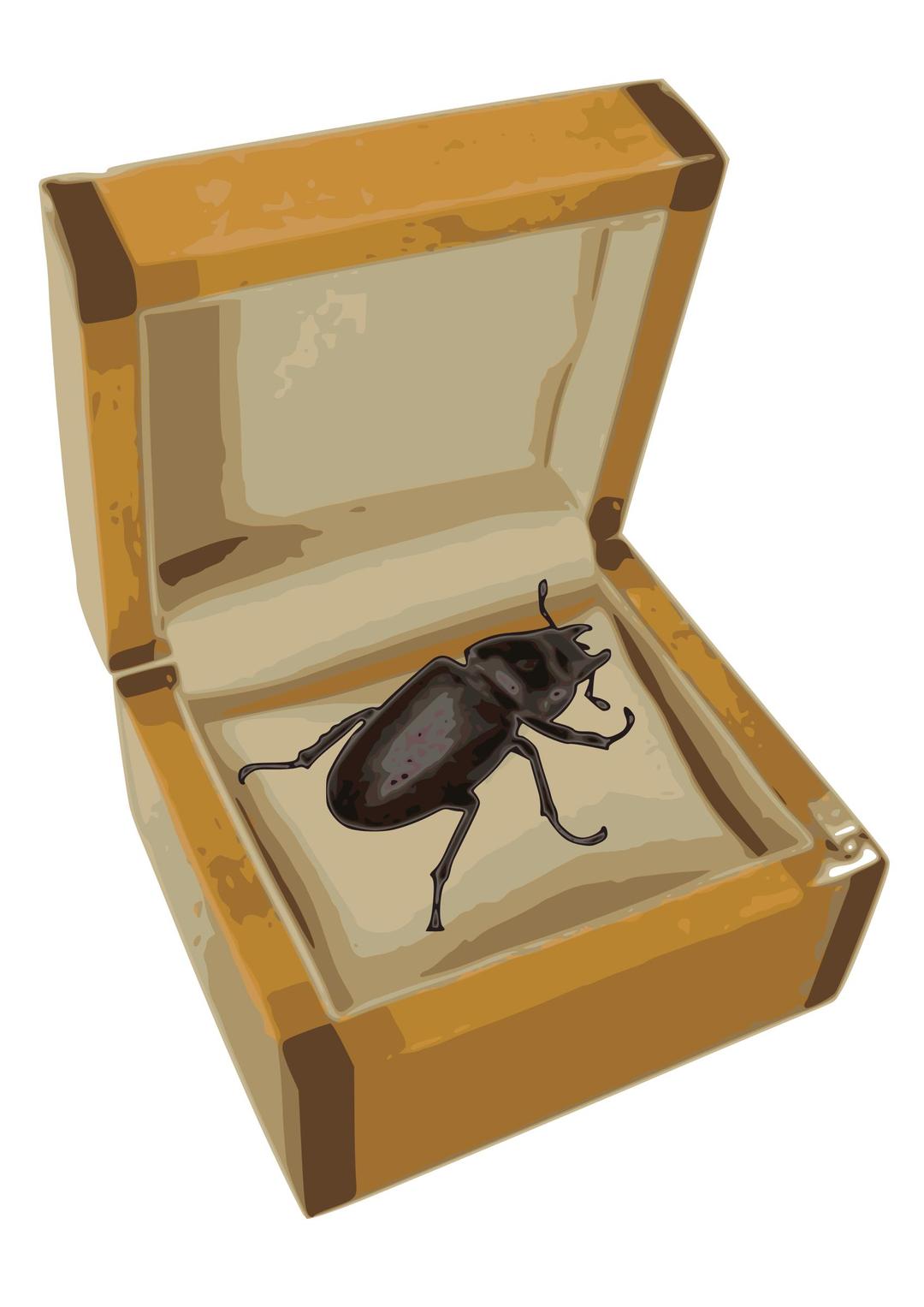 Beetle in a Box png transparent