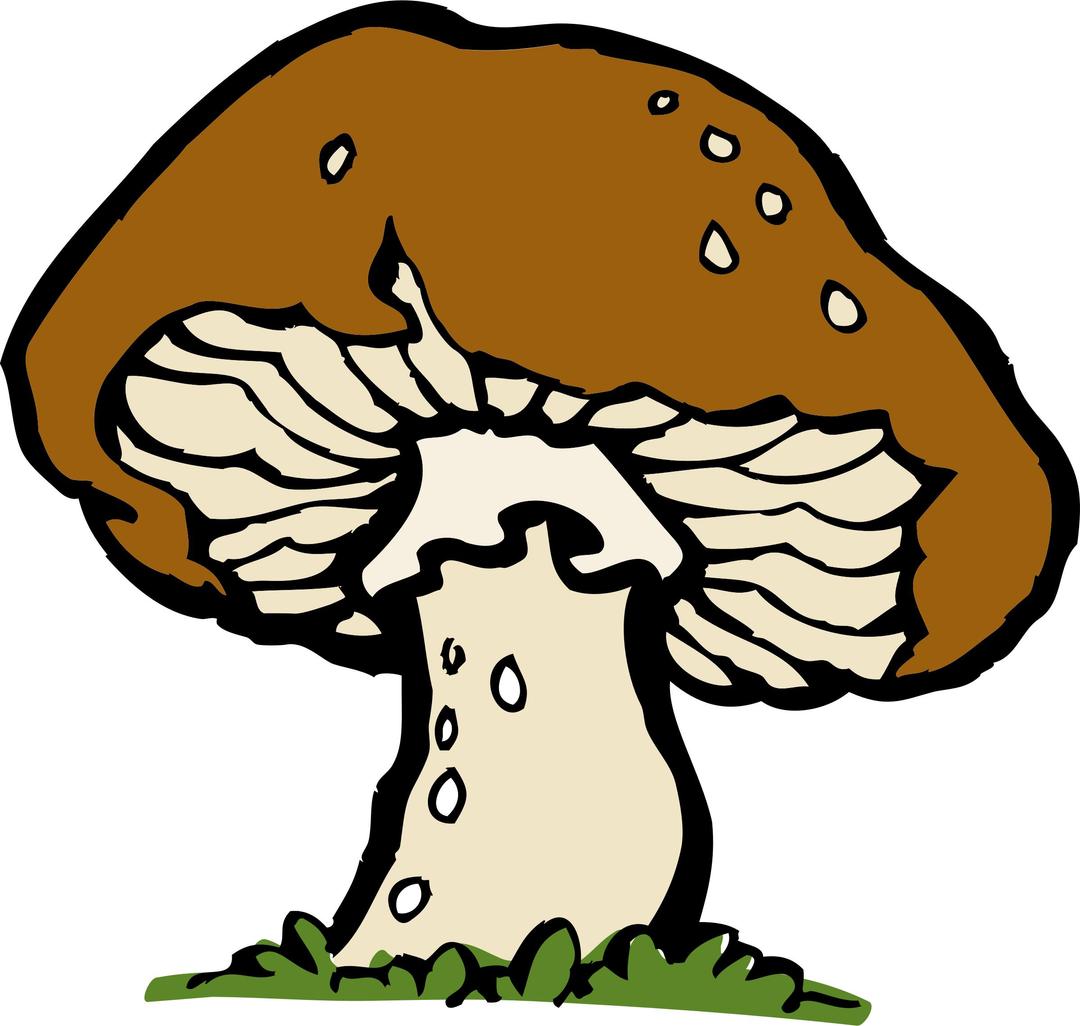 big mushroom png transparent