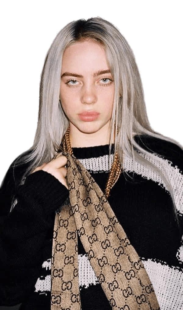Billie Eilish Black and White Sweater png transparent