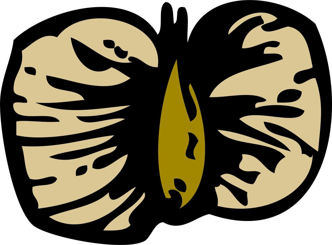 birch seed png transparent