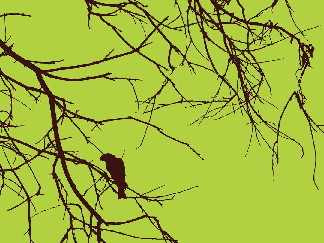 Bird Branches png transparent