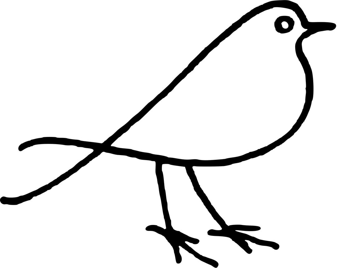 Bird doodle png transparent