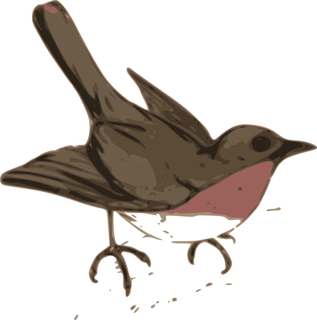 bird illustration png transparent