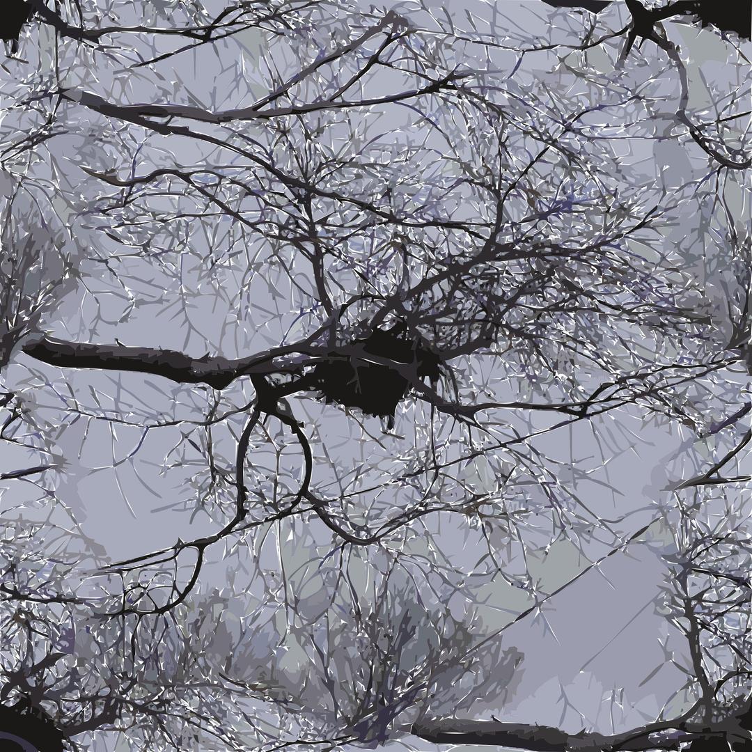 bird nest branches power lines berkeley png transparent