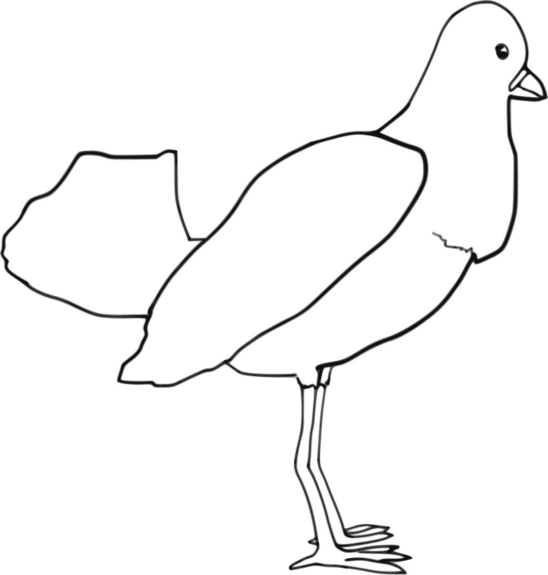 Bird (outline) png transparent