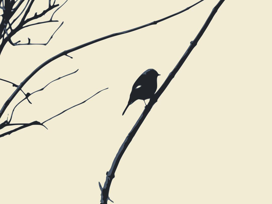 Bird silhouette png transparent
