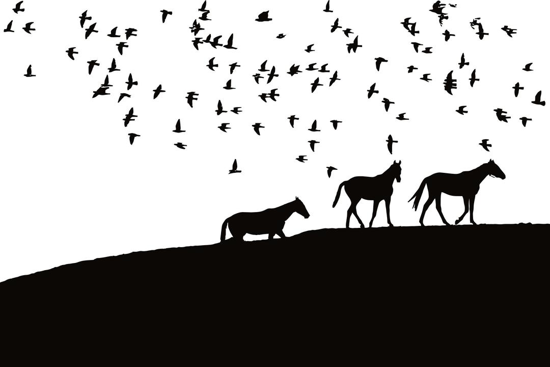 Birds And Horses Silhouette png transparent