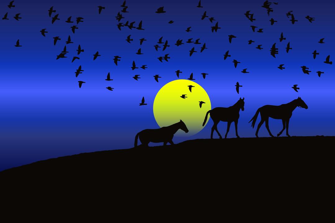 Birds And Horses Silhouette Sunset png transparent