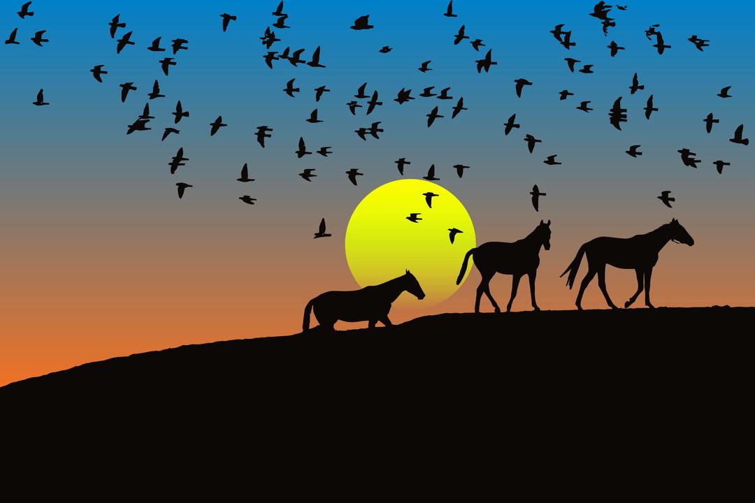 Birds And Horses Silhouette Sunset 4 png transparent