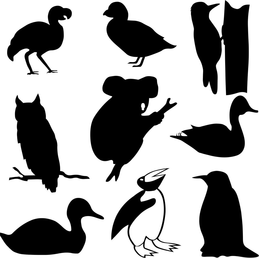 Birds Silhouettes And A Koala png transparent