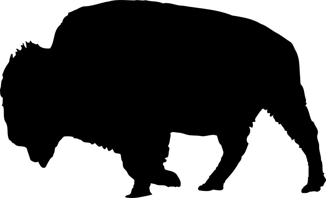 Bison Silhouette png transparent