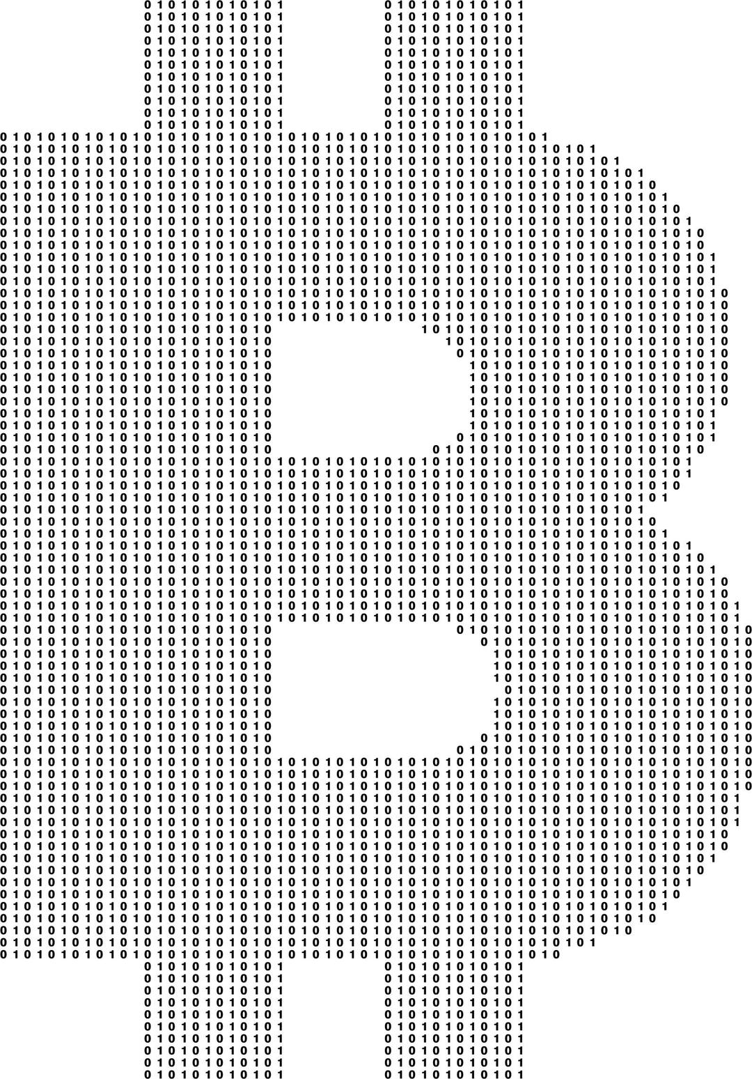Bitcoin Logo Binary 2 png transparent
