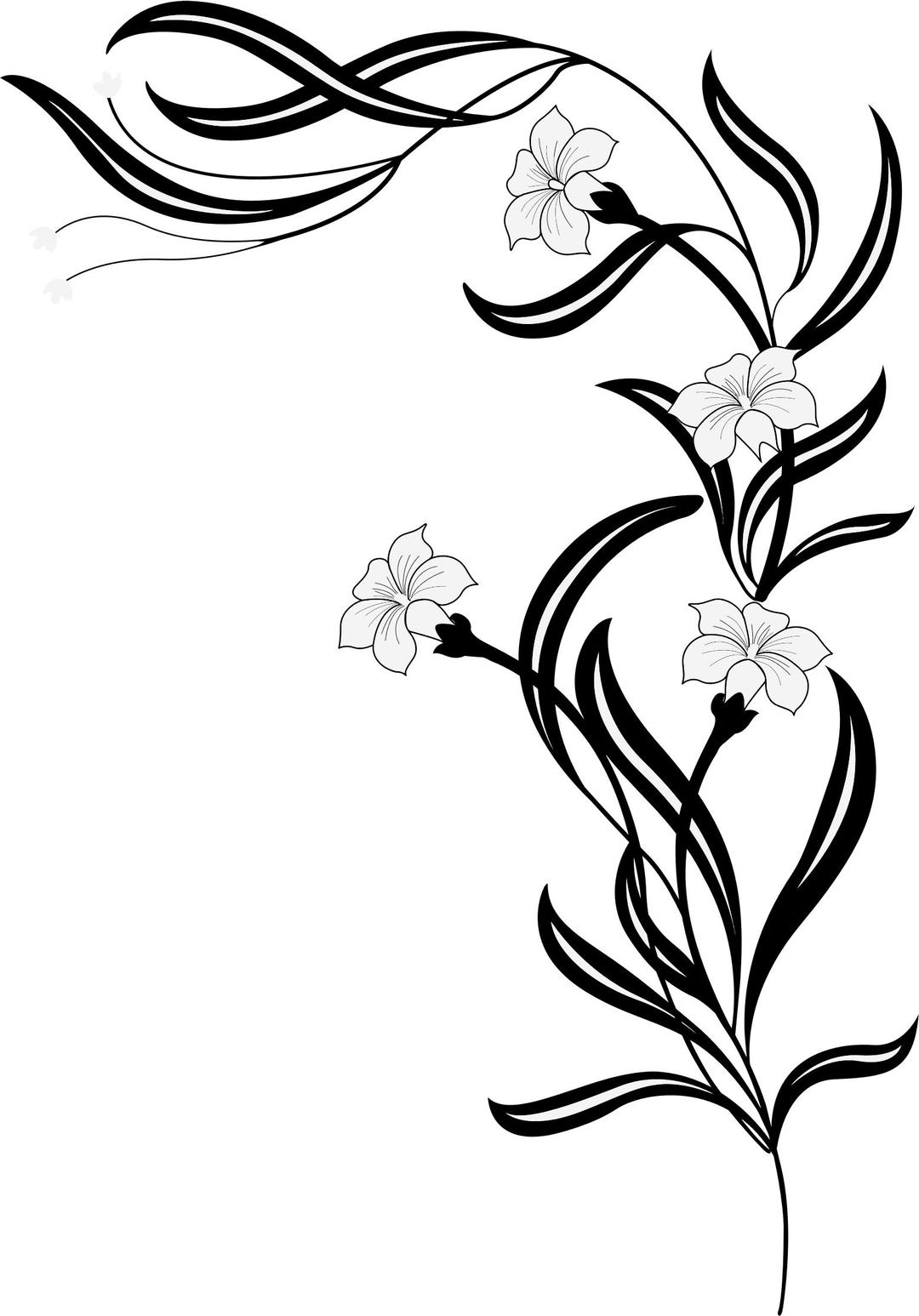 Black And White Flowers png transparent