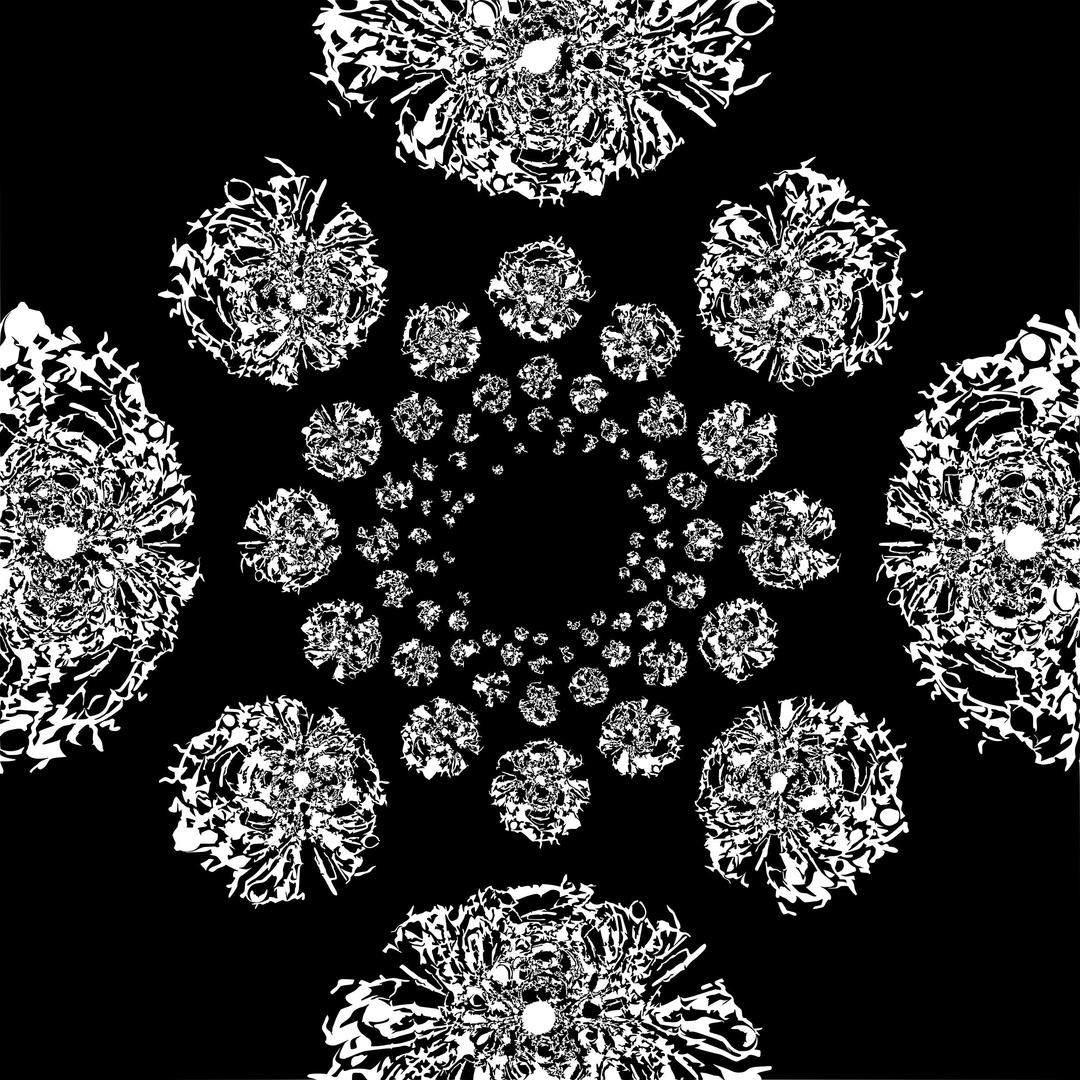 Black and white Kaleidoscope png transparent