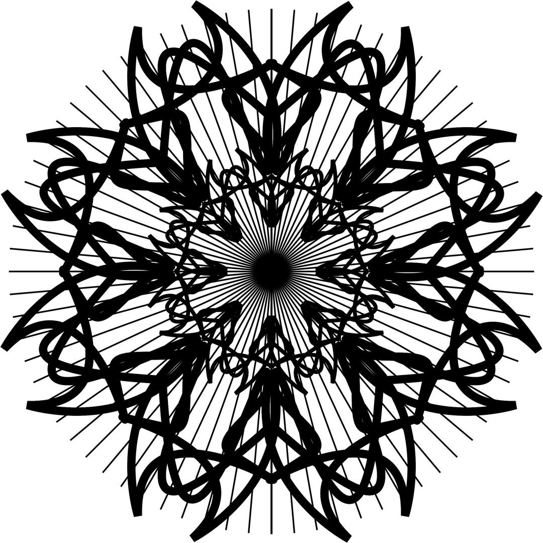 black and white rosette 2 png transparent