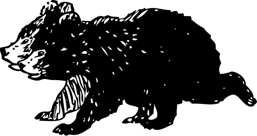 black bear cubs png transparent